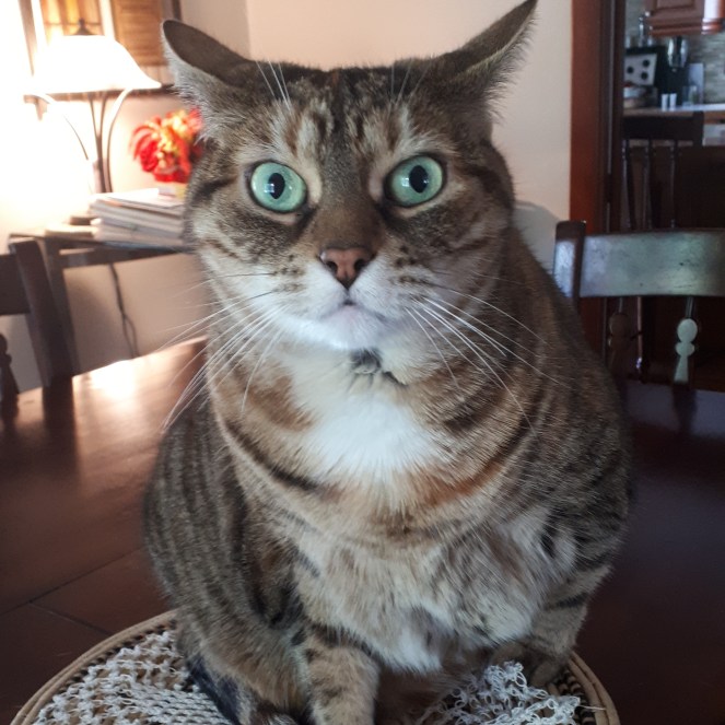 IMG_20190715_002302_366