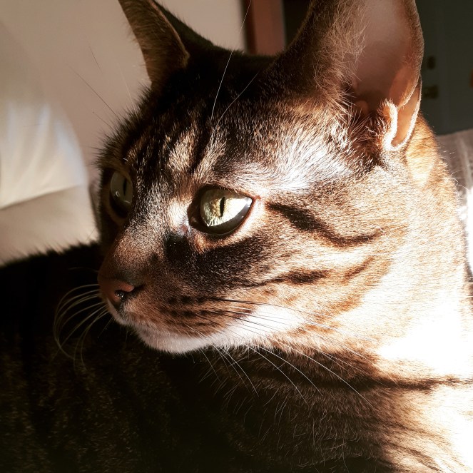 IMG_20191119_173841_017