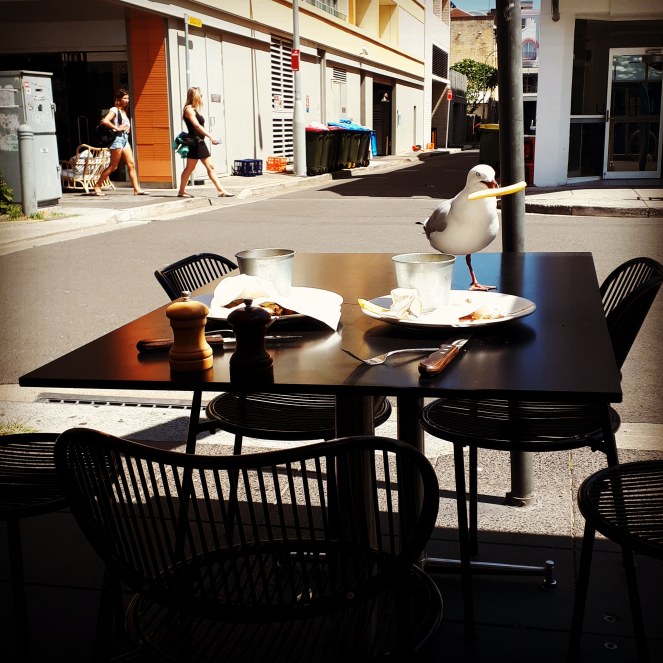 IMG_20200229_213247_005