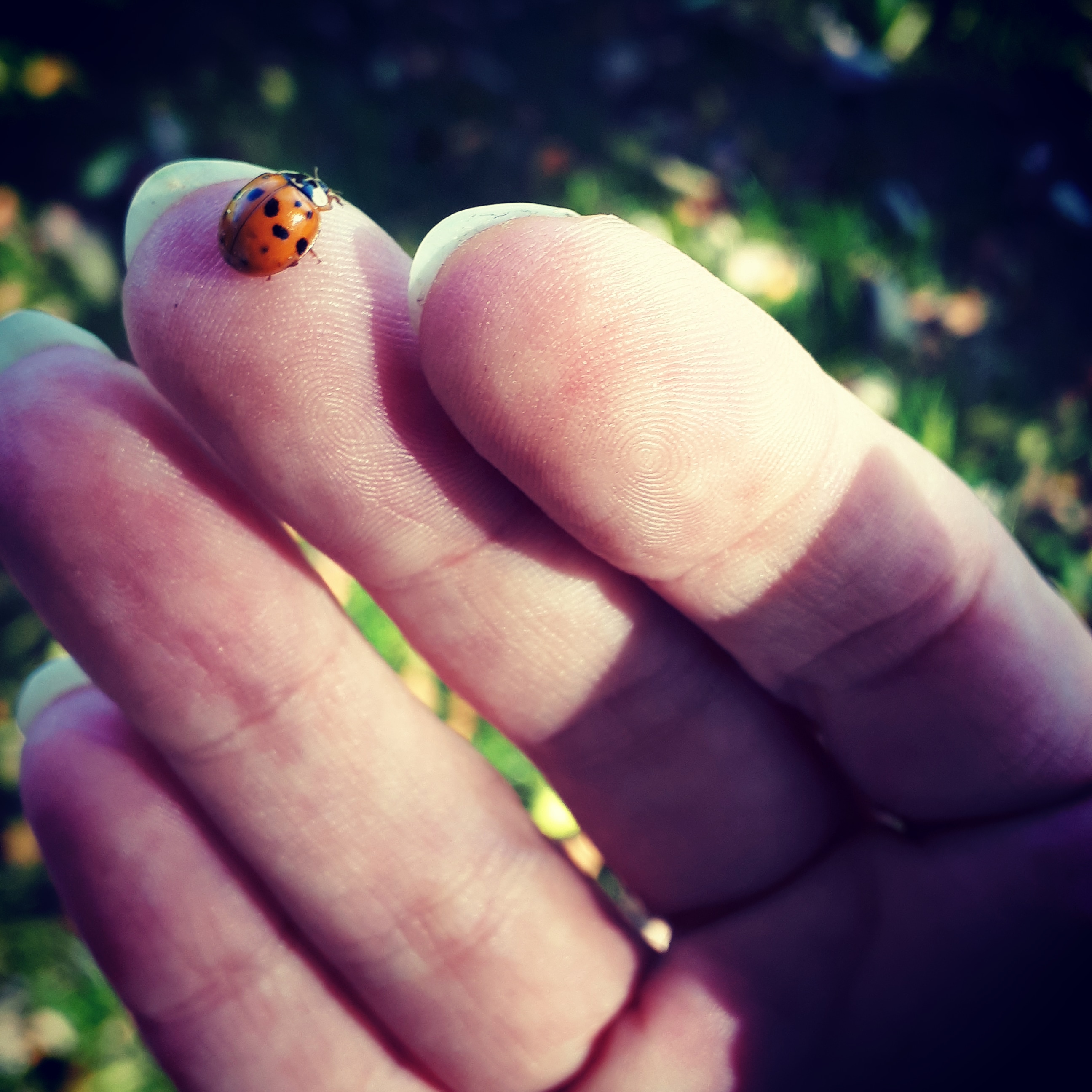 IMG_20191015_185111_140