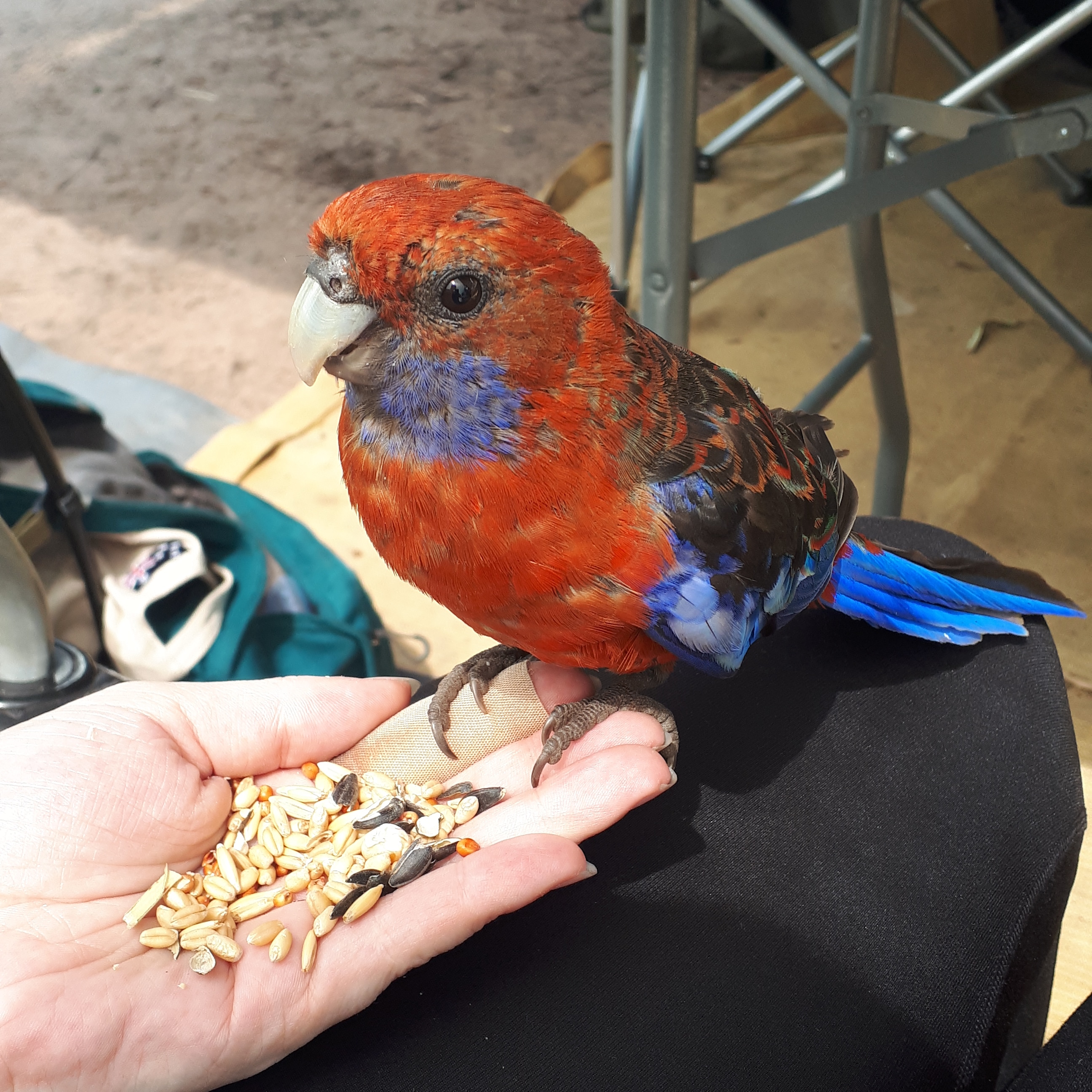 IMG_20200214_092335_139