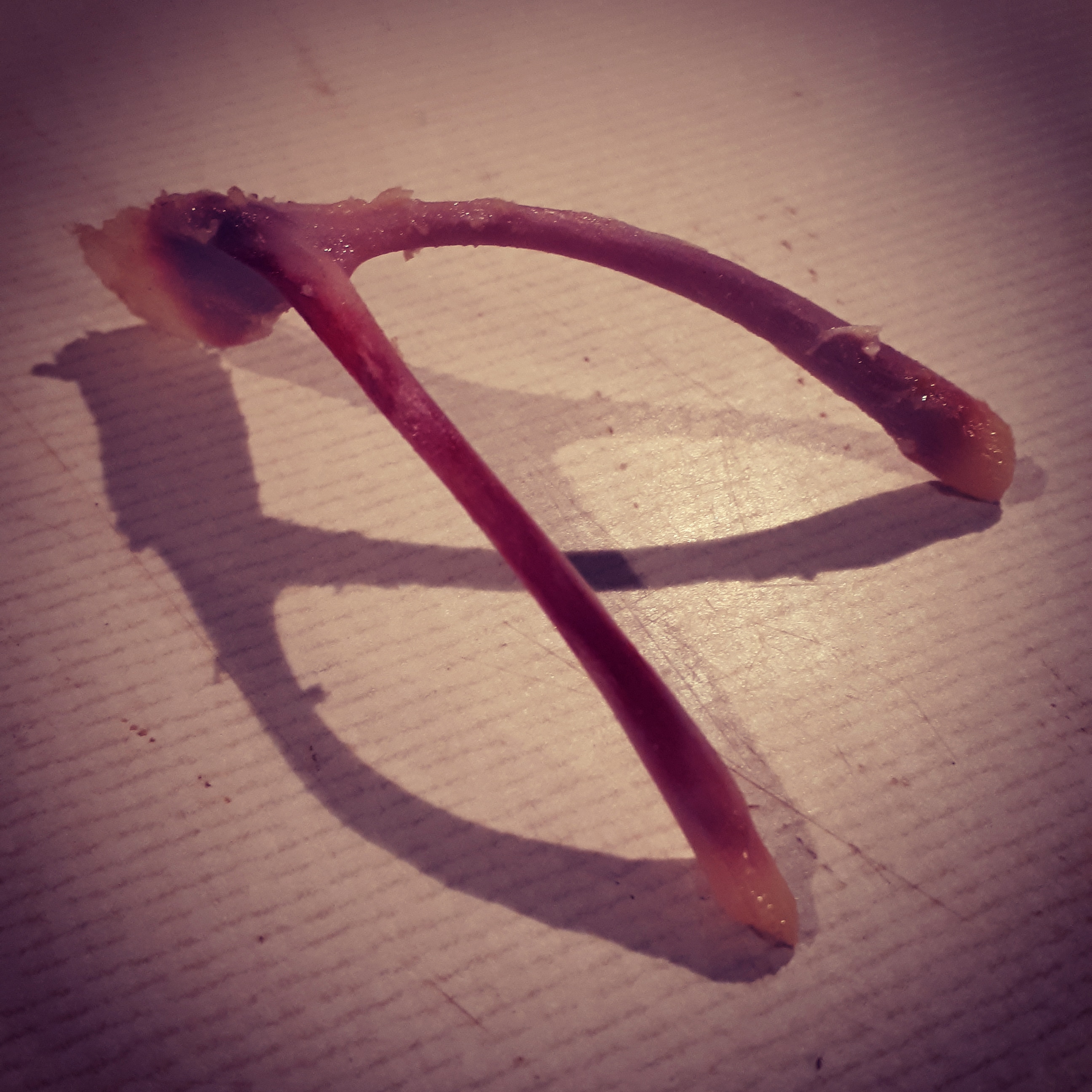 IMG_20200610_205813_700