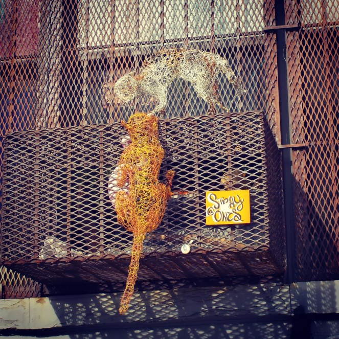 IMG_20181024_225422_461