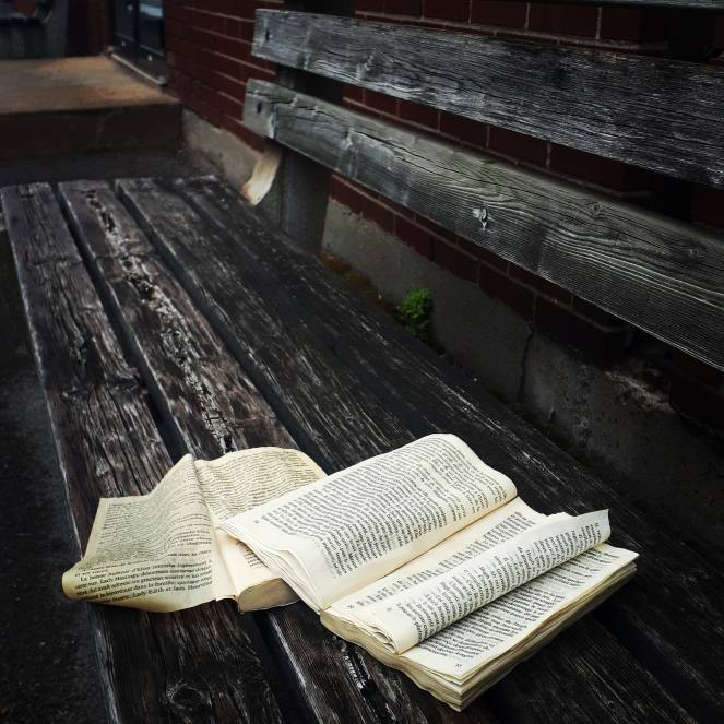 IMG_20210708_185923_423