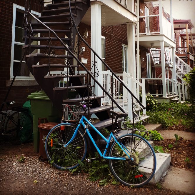 IMG_20210721_155037_073