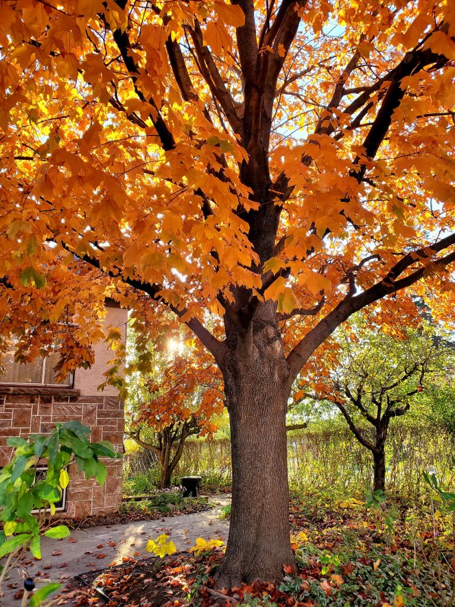 20211108_2122196842504019370719139