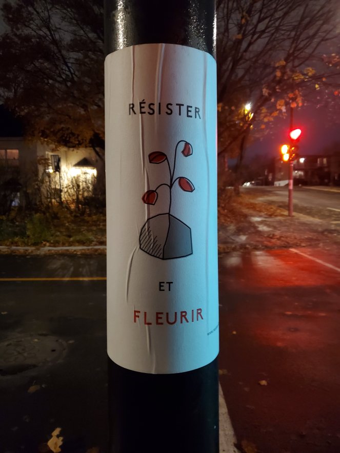 20211113_2148115834041211172896589