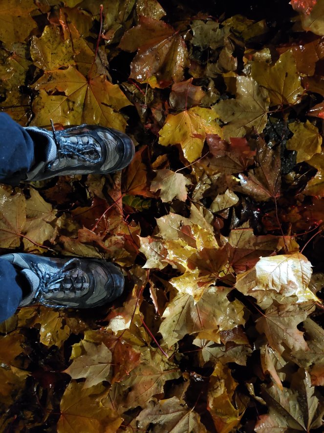 20211115_1927132734583163921412137