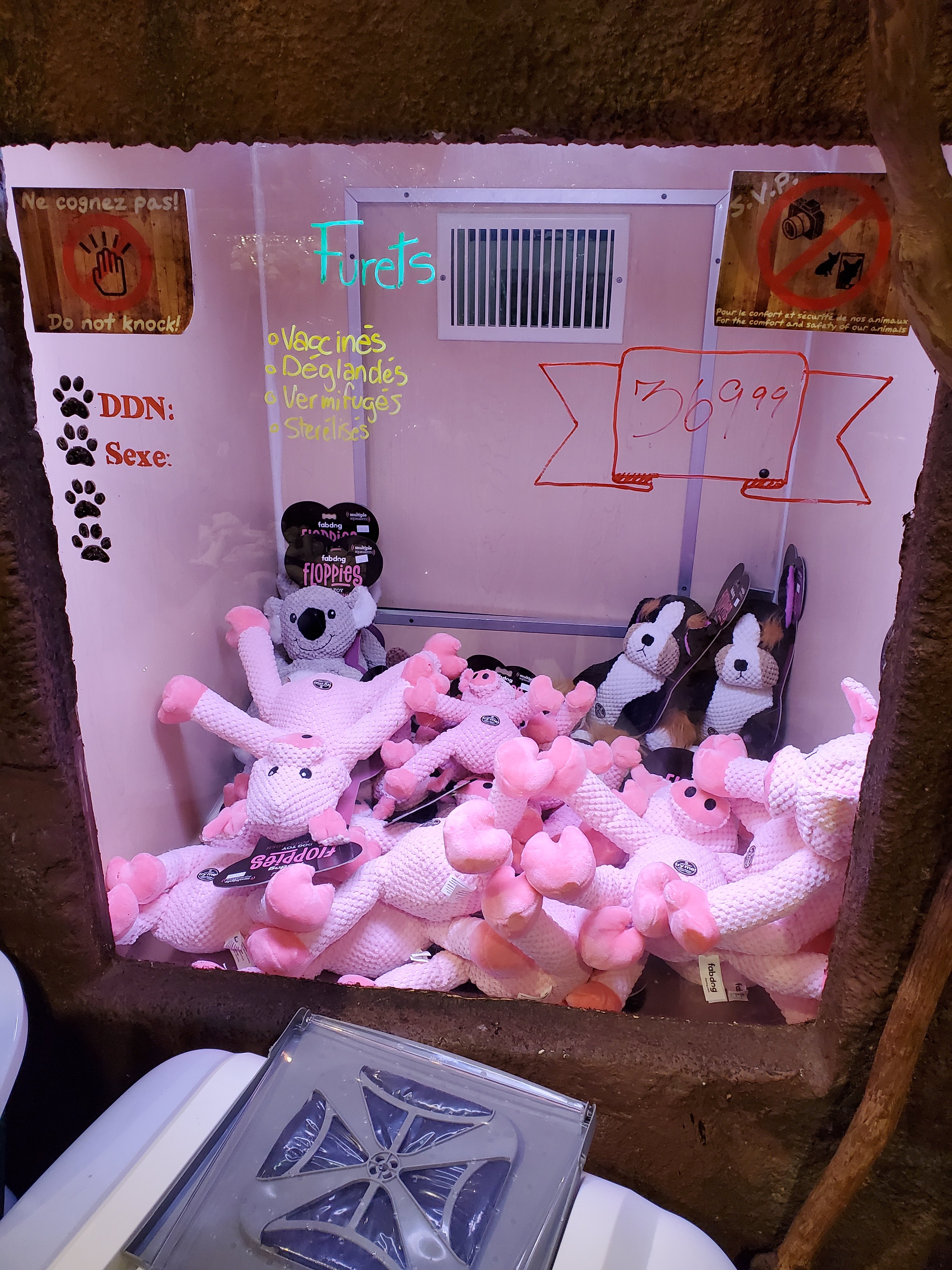 20211219_1503408800024316480283225