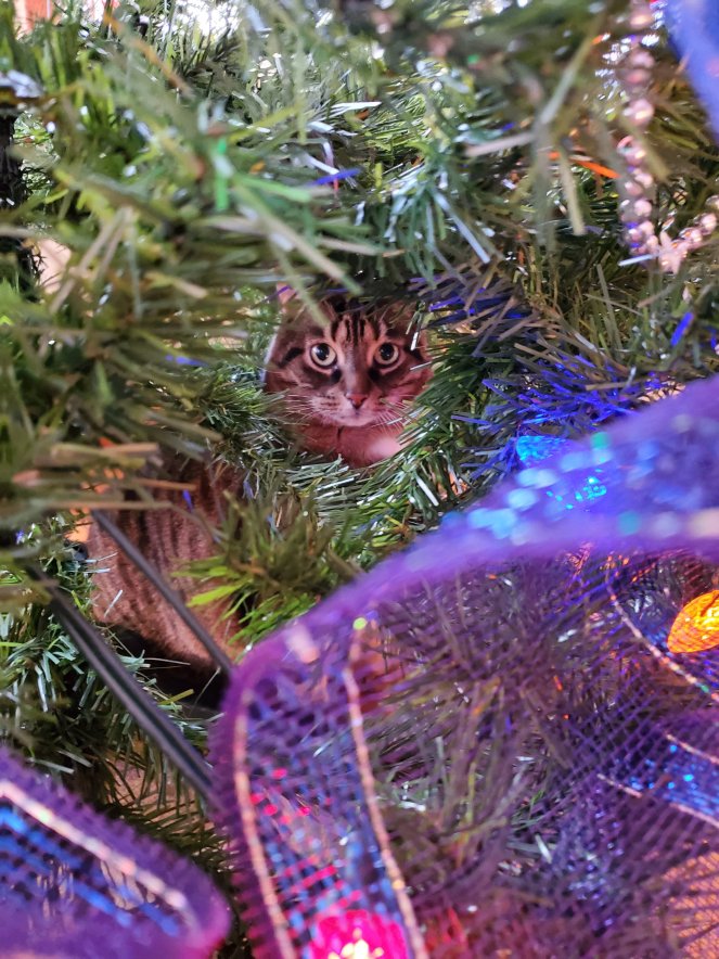 20211224_1527521894951307144231874