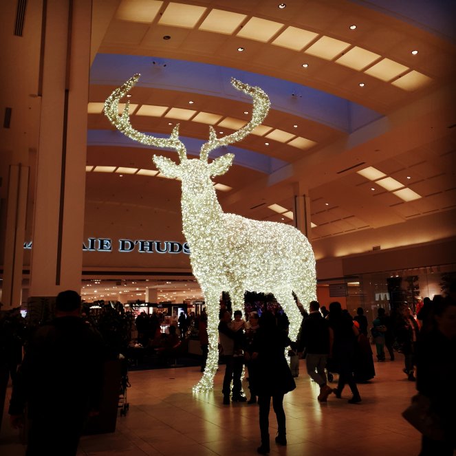 wp-16389834629617747369880389624501