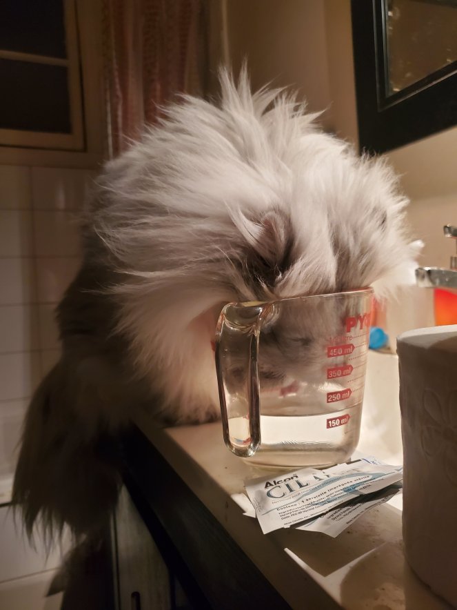 20220110_2101513722769193712897301