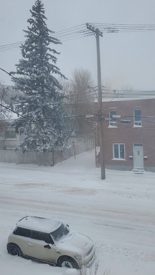 20220117_122448-thumbnail6069592690291248732