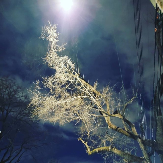 img_20220106_222723_6297061306905696253592