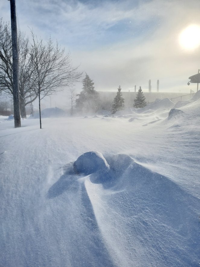 20220219_1525413856031446950172950