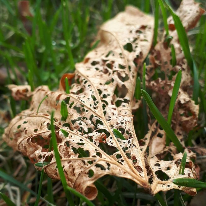 wp-164384874914839314094102129020