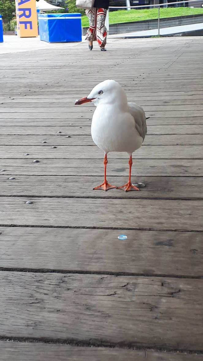 wp-16444472163845444454028923053863