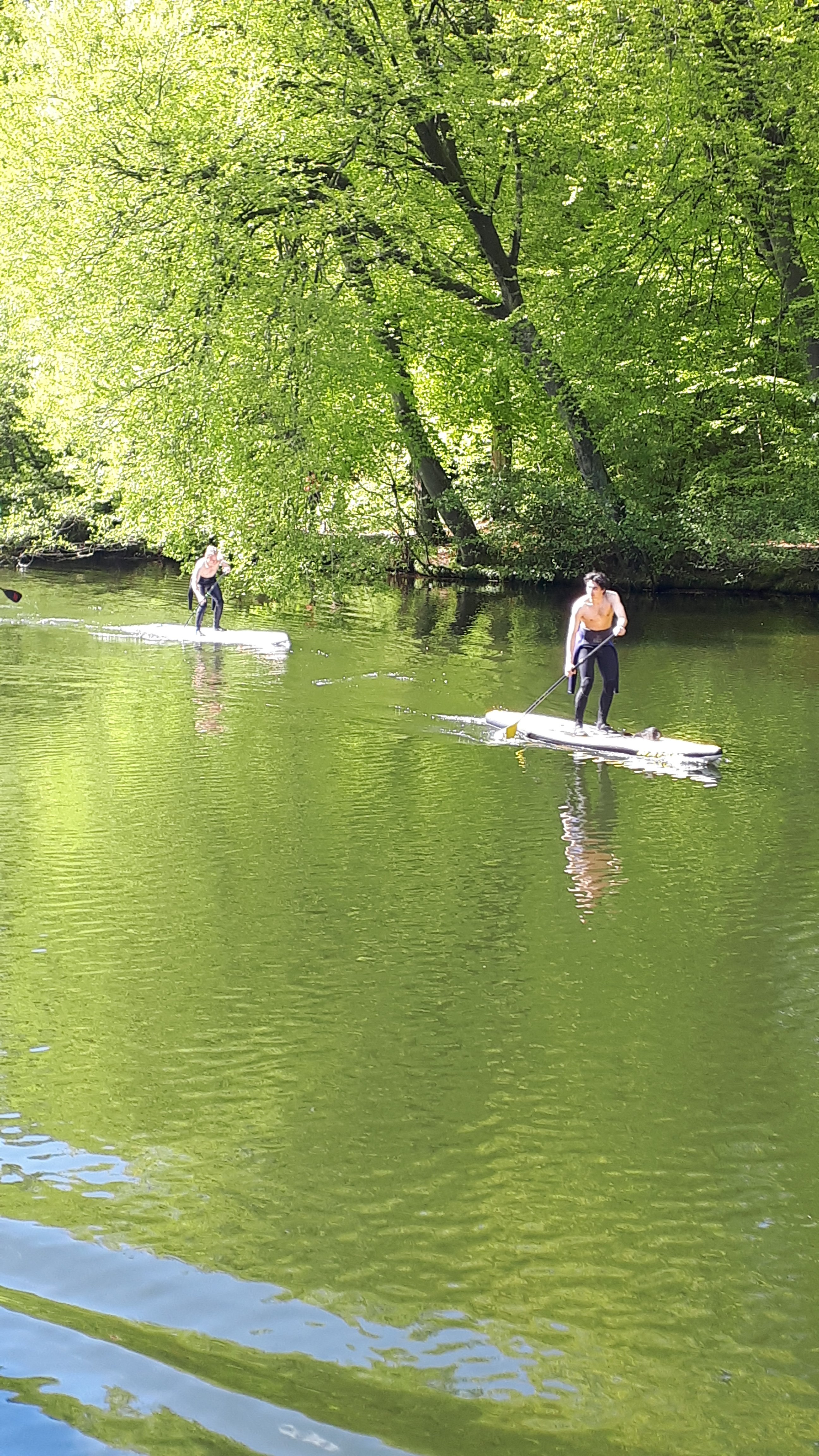 wp-16474720396373078850545900921190