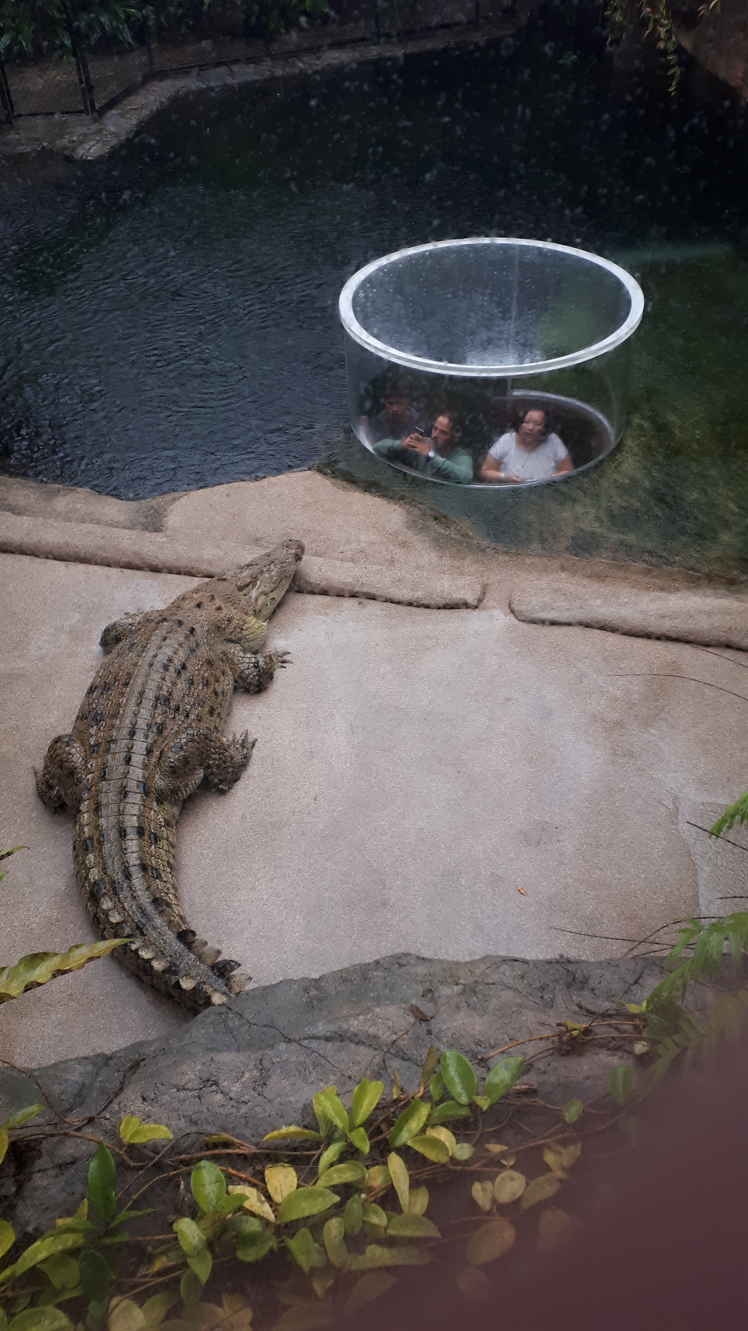 wp-16492848780045911013358675226808