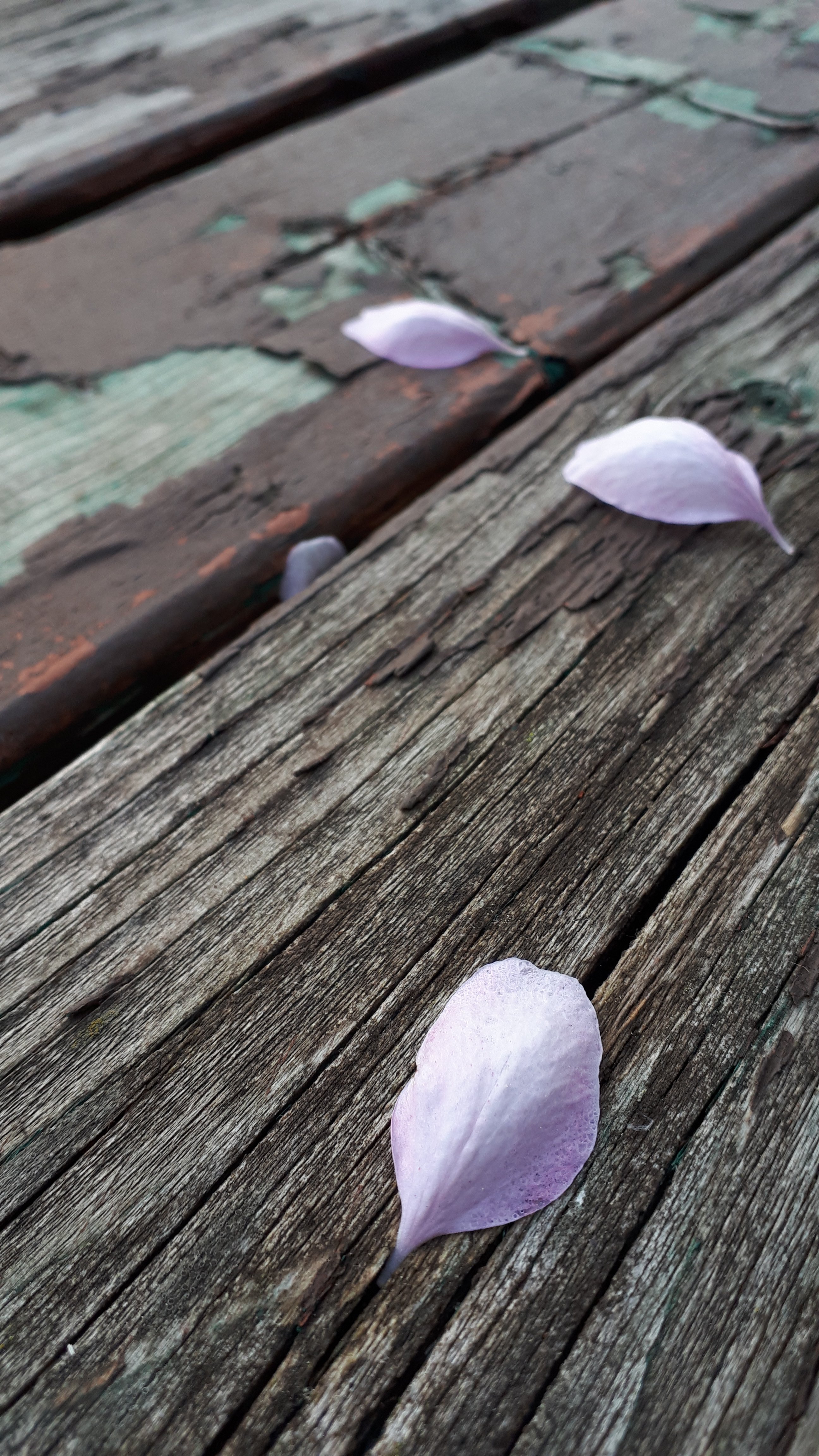 wp-16498680193633015298763606041647