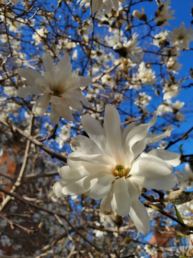 wp-16517138187567865644202645301955