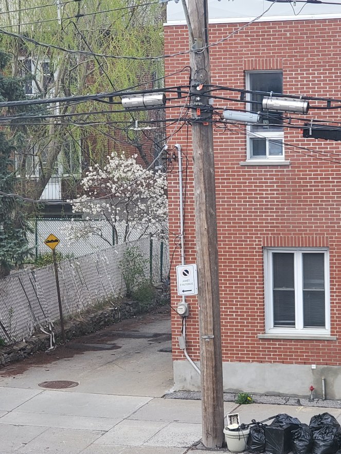 wp-16524068319224520468458024044791