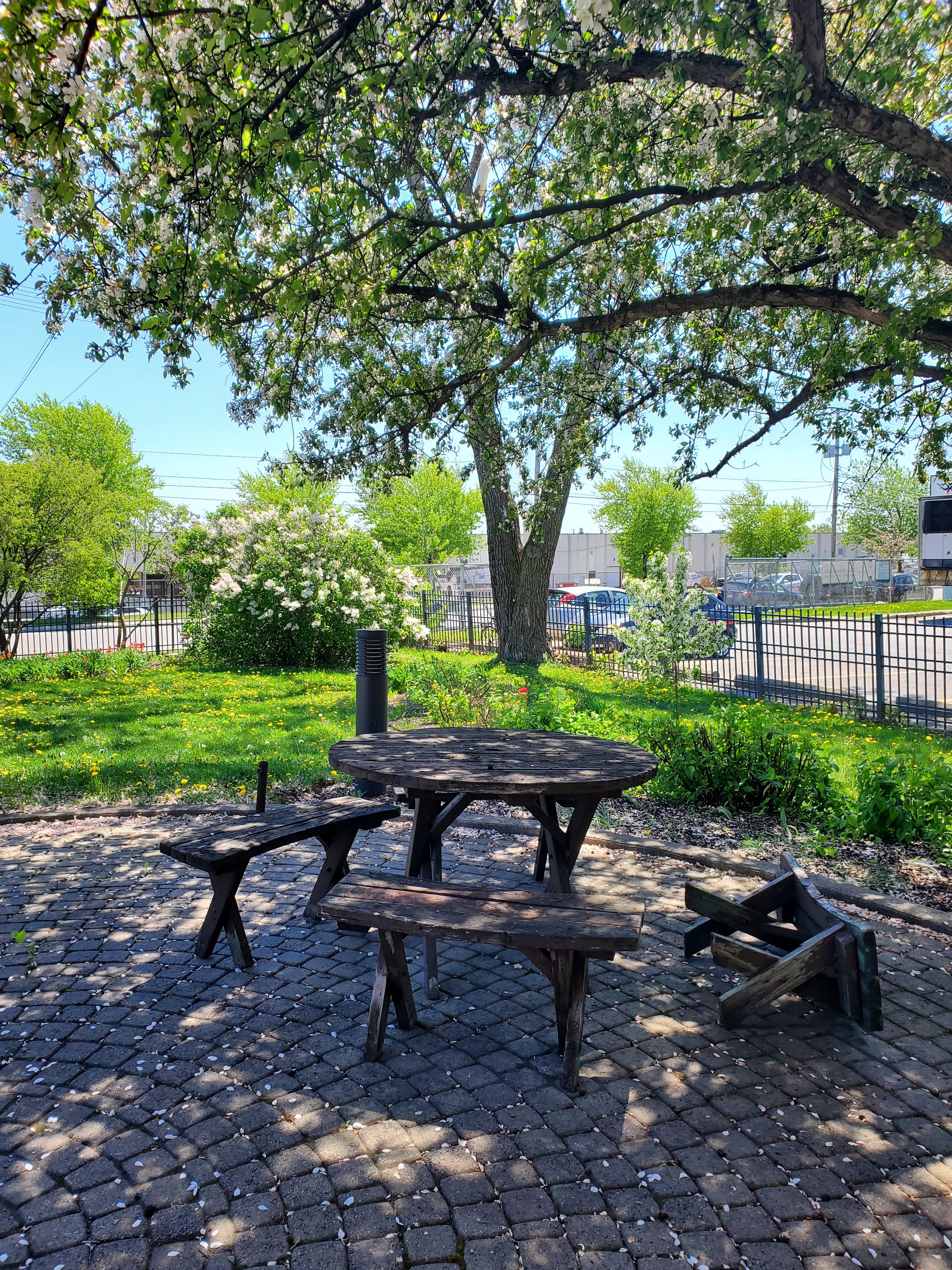 wp-16528935349851361739994372804842