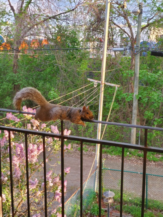 wp-16531978136914297369103148322607