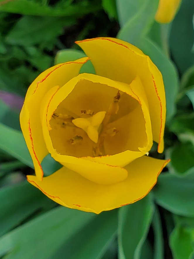 wp-16545681121234418149402439830277