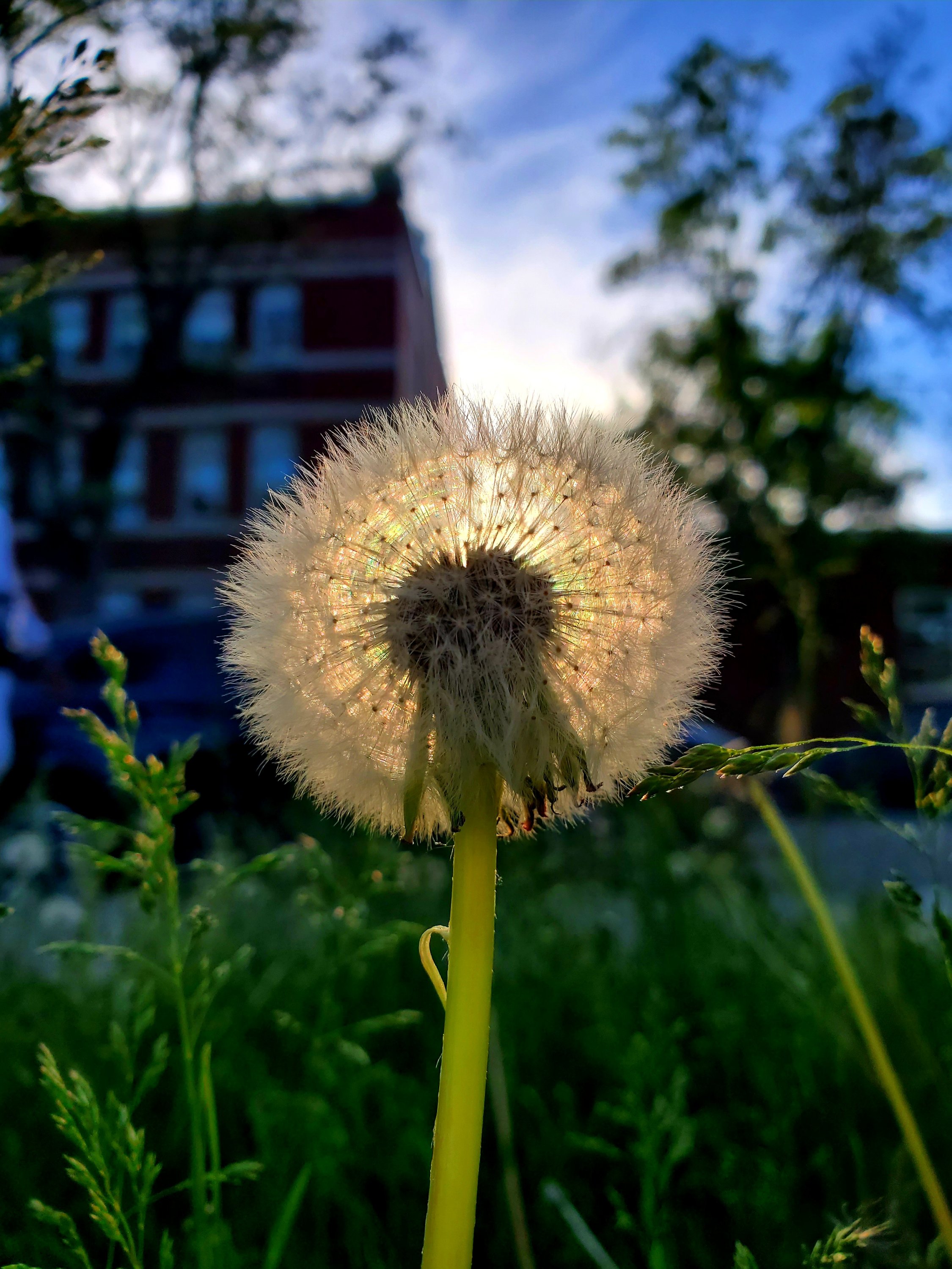 wp-16547339252785310849695124971670