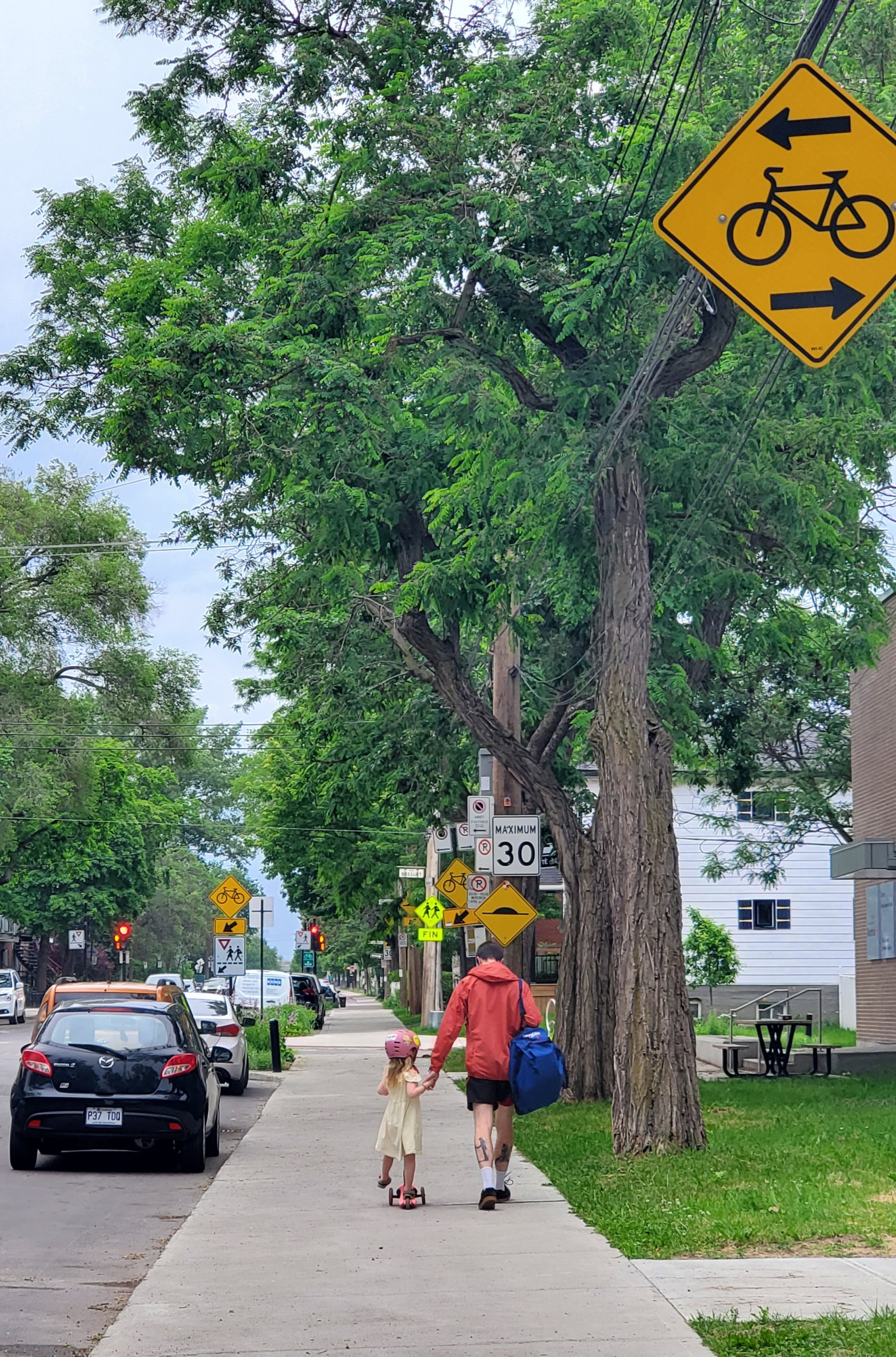 wp-16559456457186036882894813934852