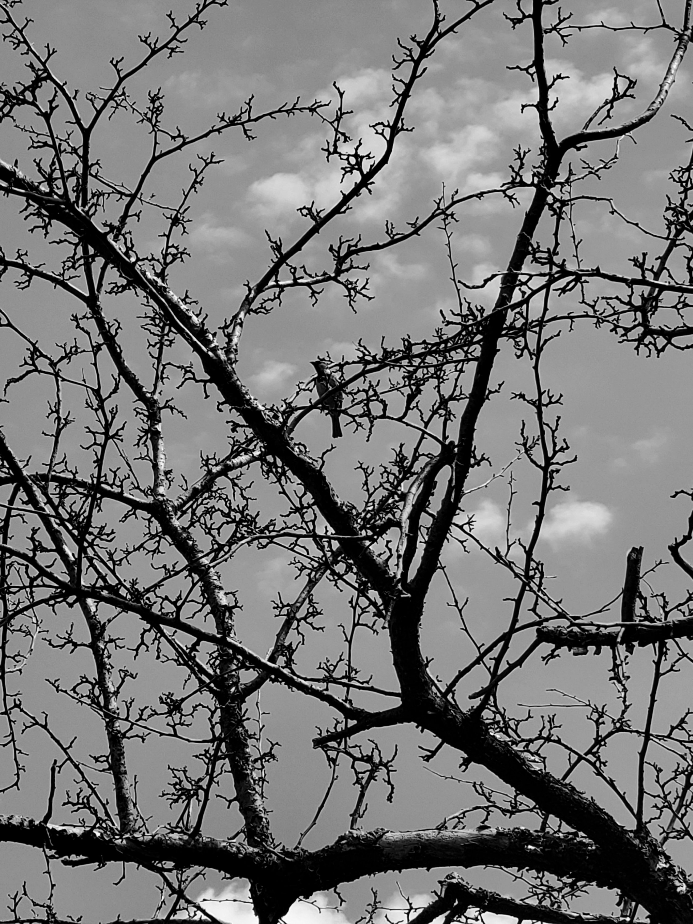 wp-16583661268213129515596769141015