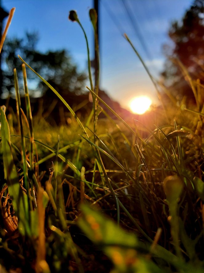 wp-16606202005848376618674594422527