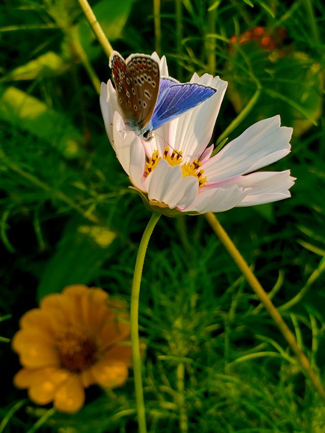 wp-16628629689923224156906192065689