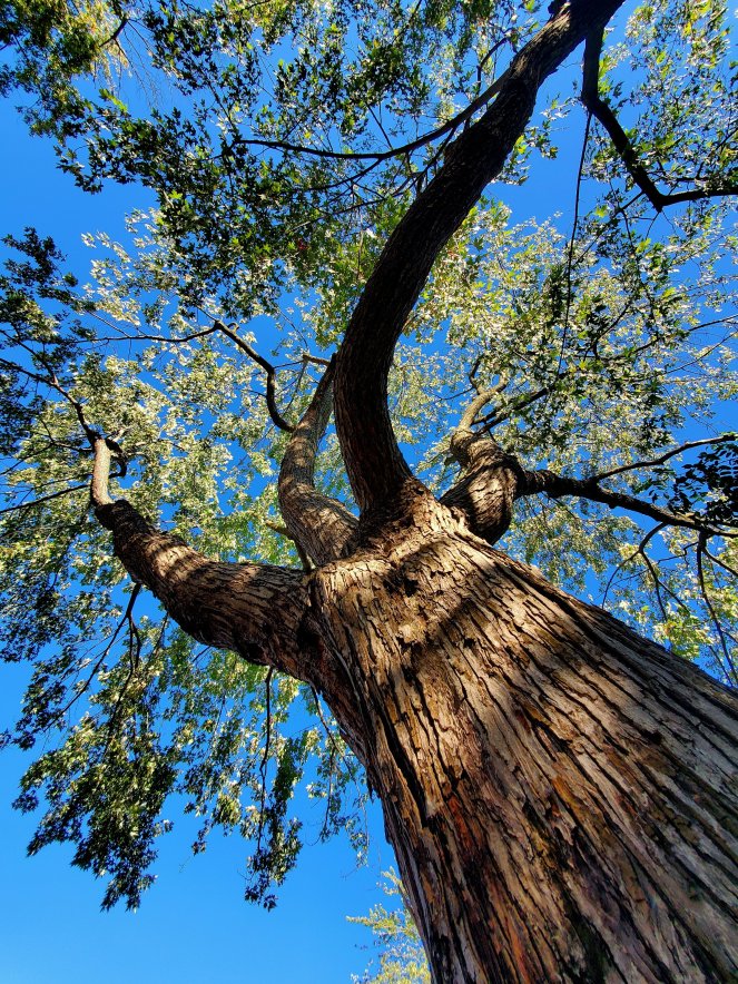 wp-16643283963137885129798121697704