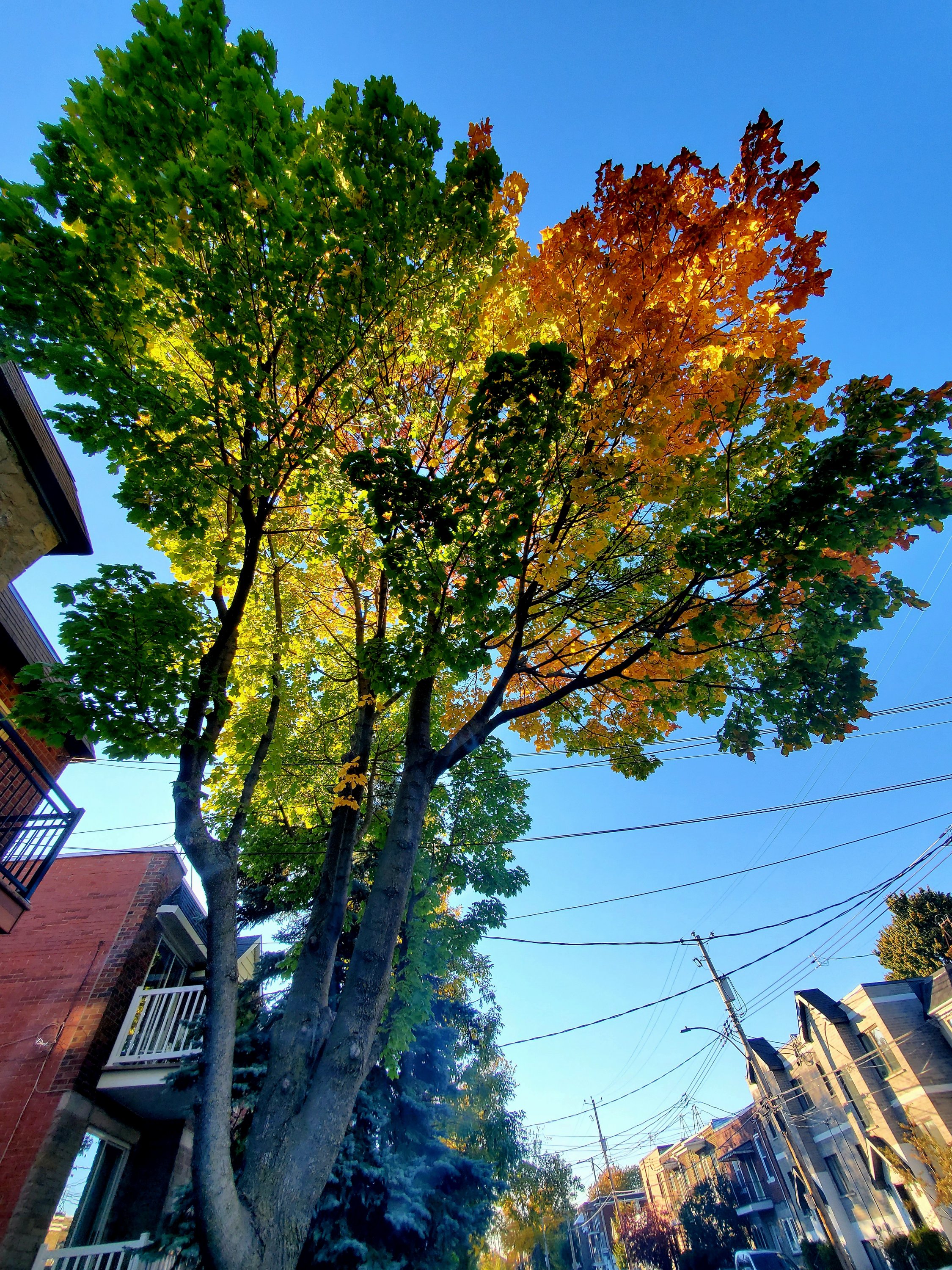 wp-16650190165092418400892357587420