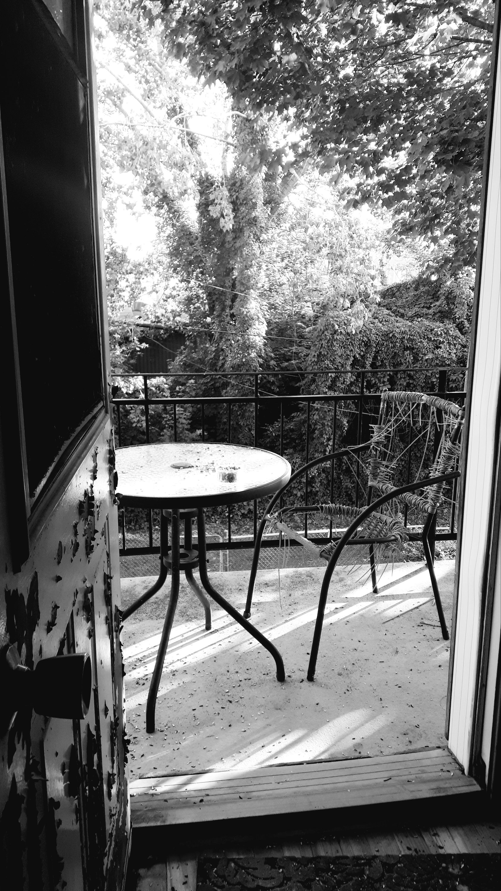 wp-16662268580866495241196158588452