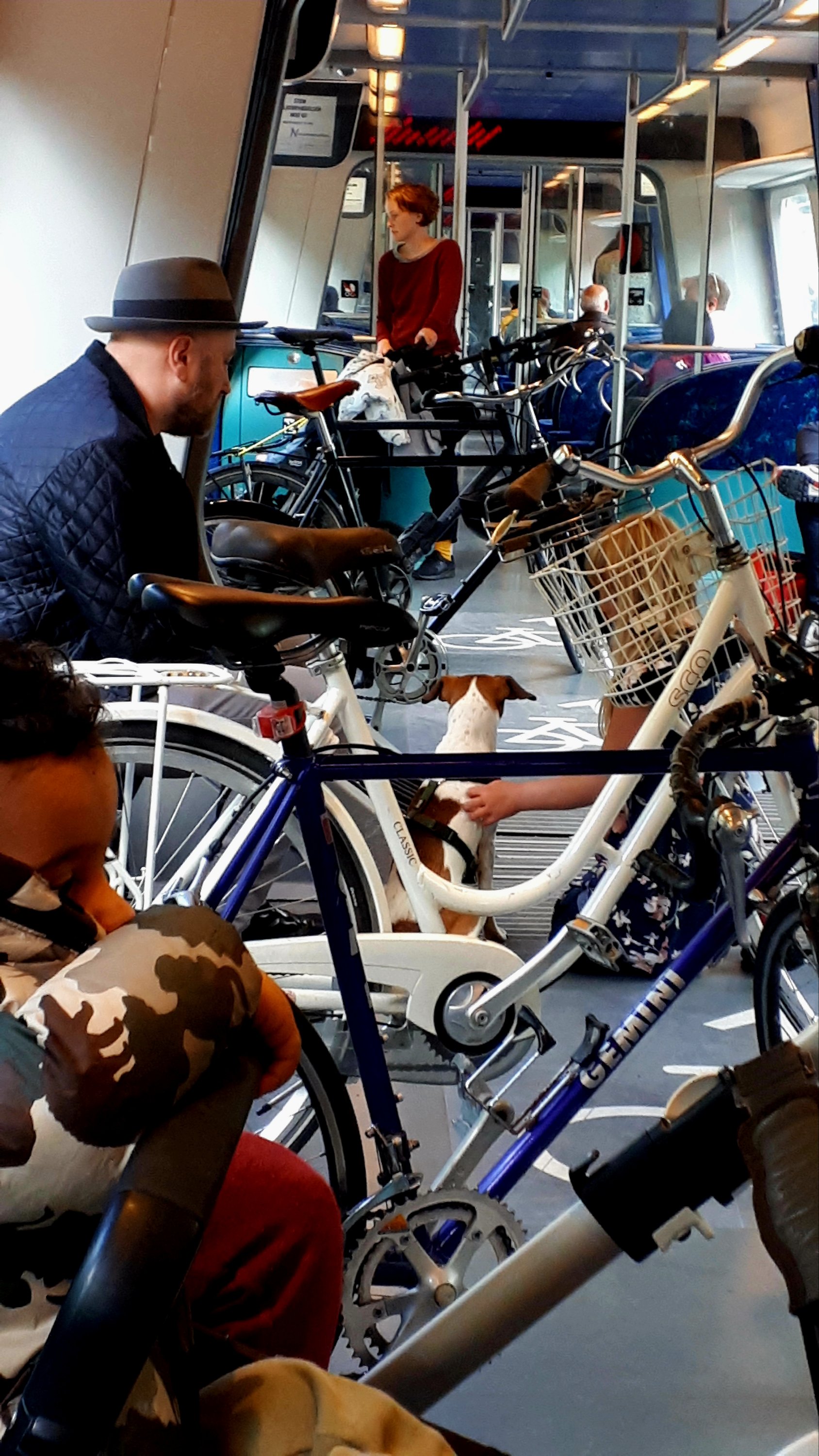 wp-16668336553006215465147775758211