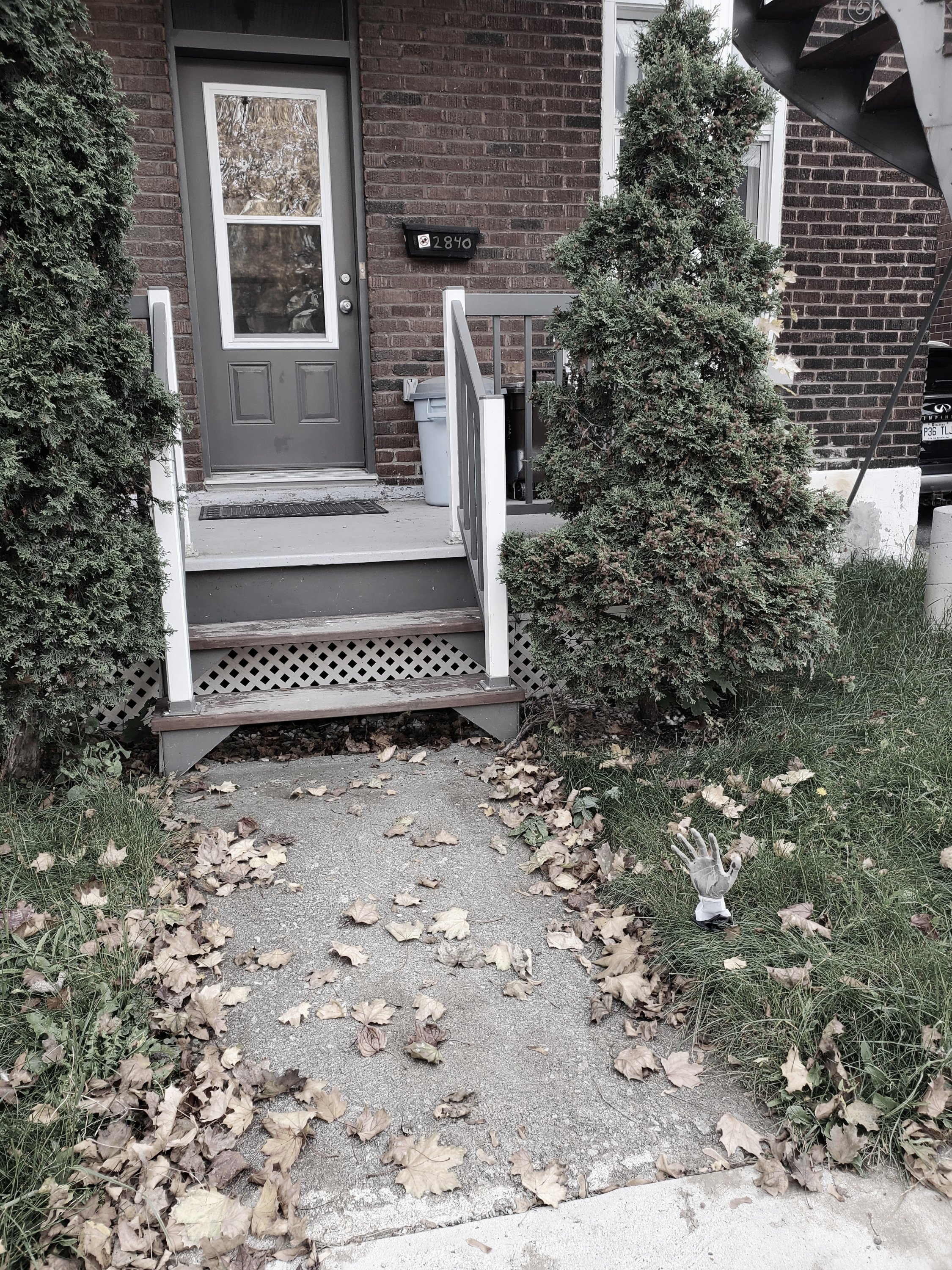 wp-16674381660657893672419260915534