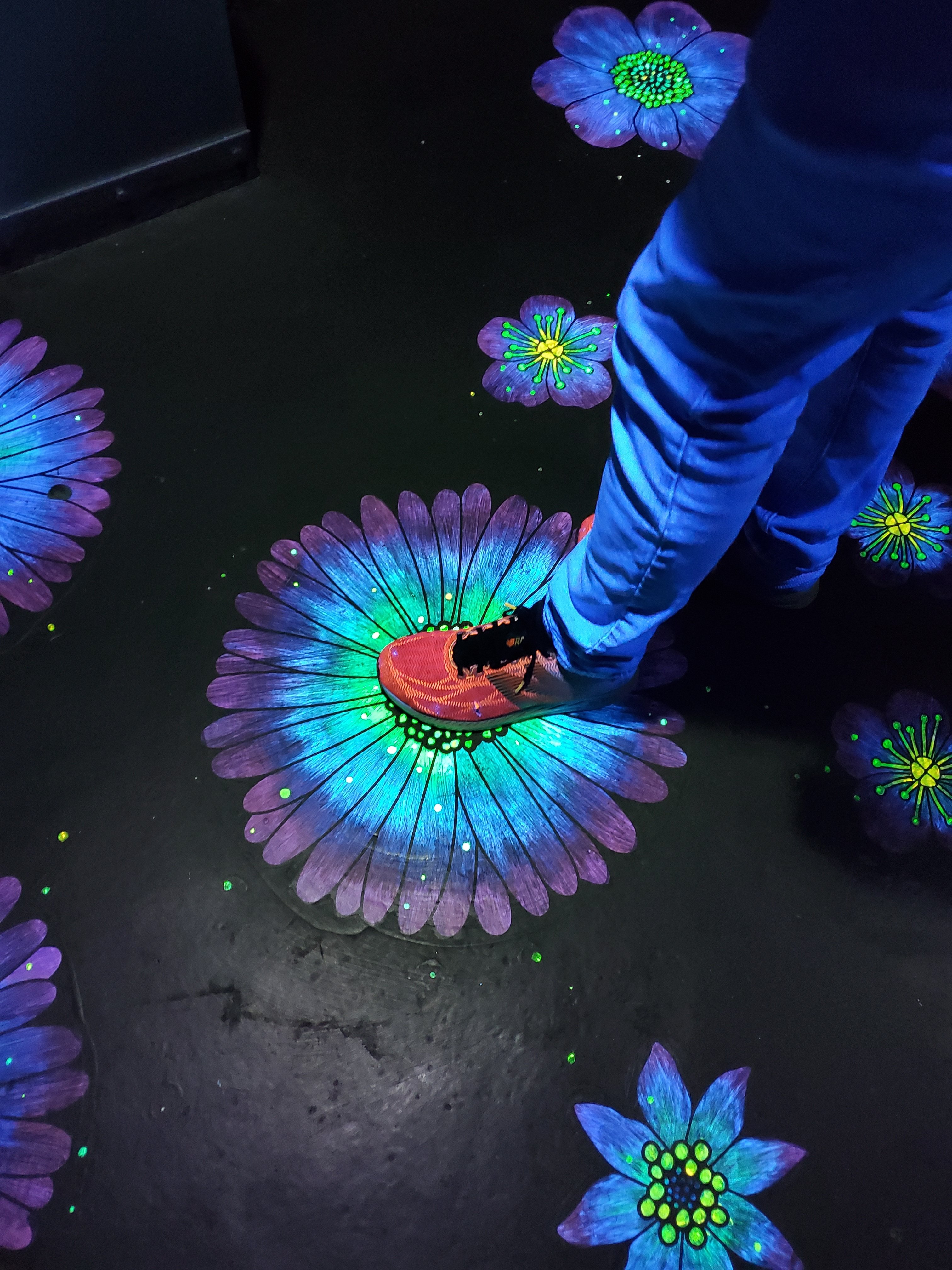 wp-16680428514876400930949597334594