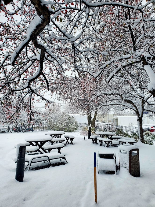 wp-16686439974719166477422363704780