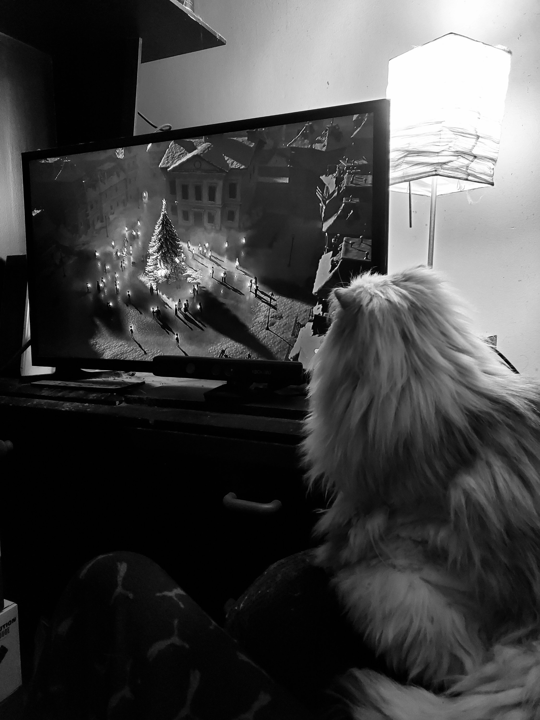 wp-1671676219403678539466677935787