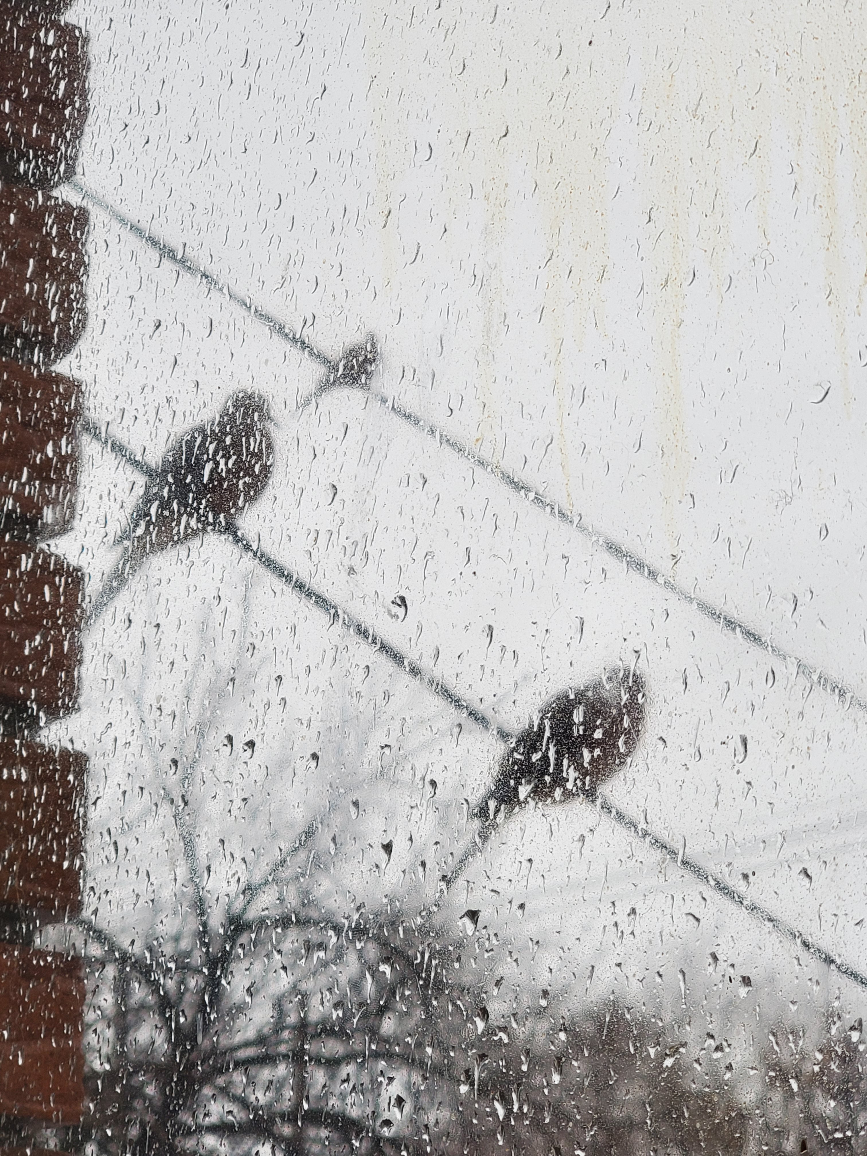 wp-16722738880818351511950993403577