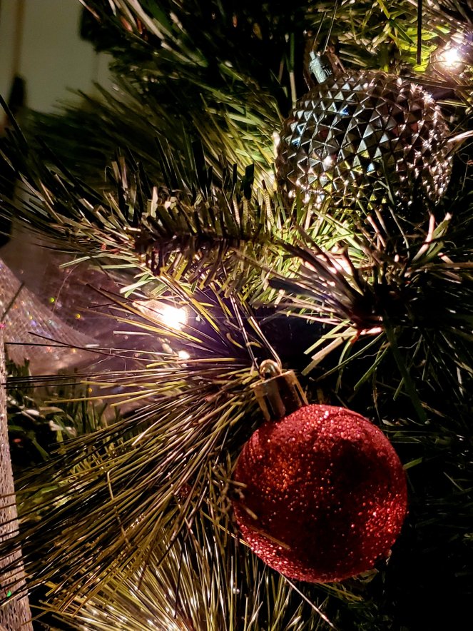 wp-16725315878806271848958615633777