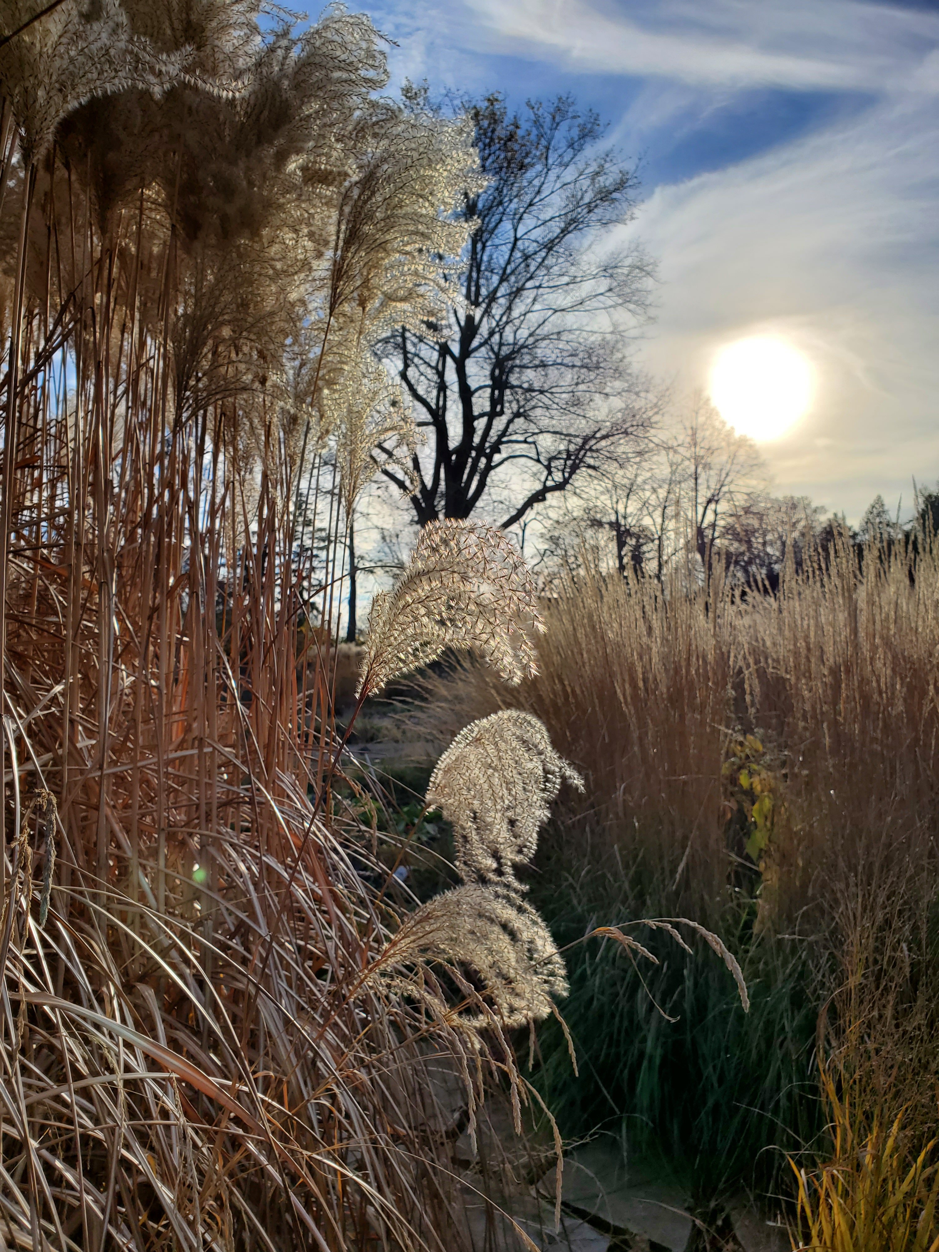 wp-16734880865558652344959015778386