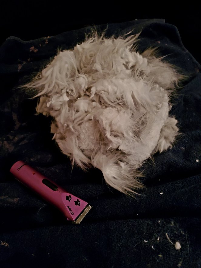 wp-16757341578919195117134999330168