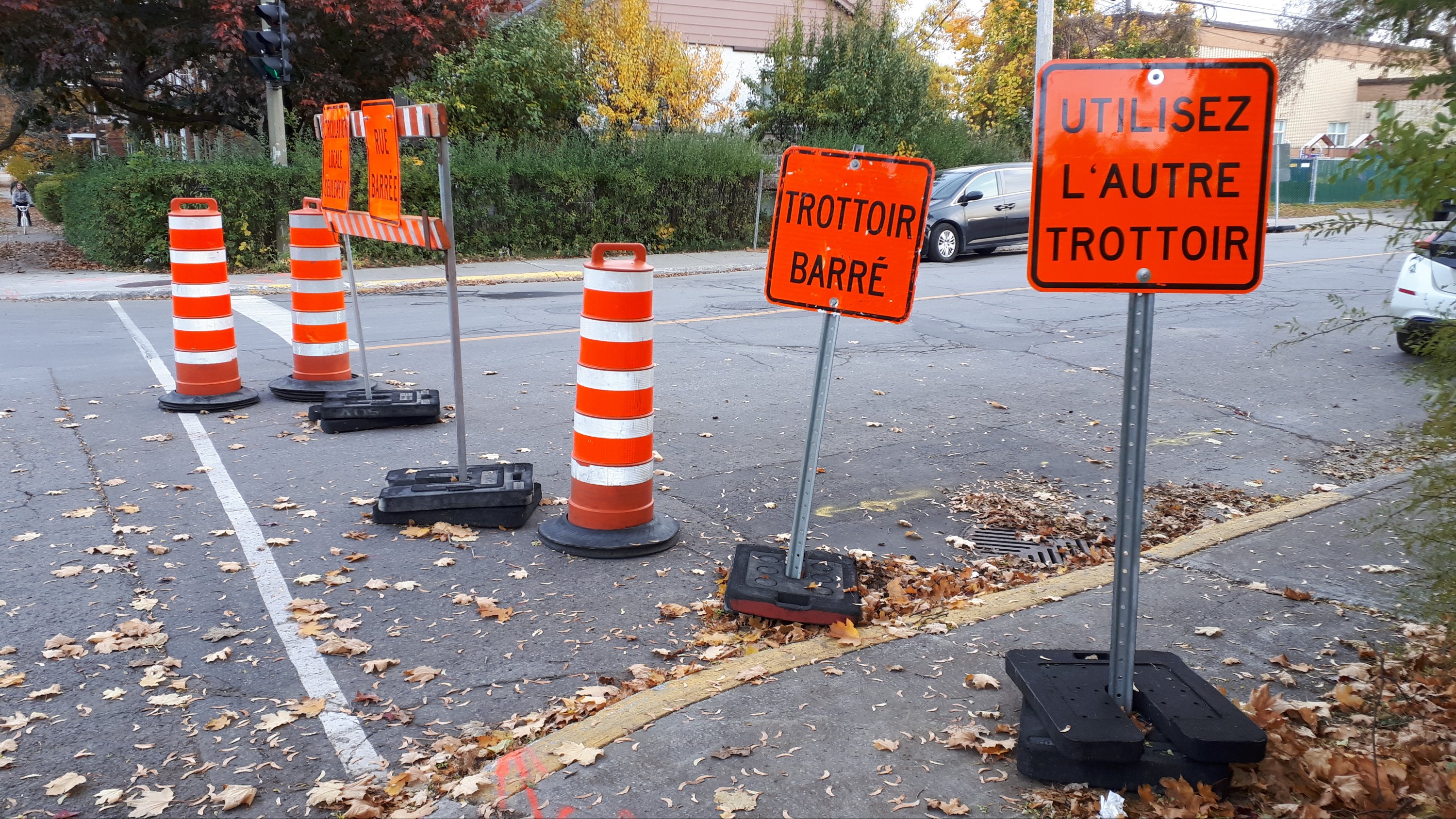 wp-16771146579595293313179058944402