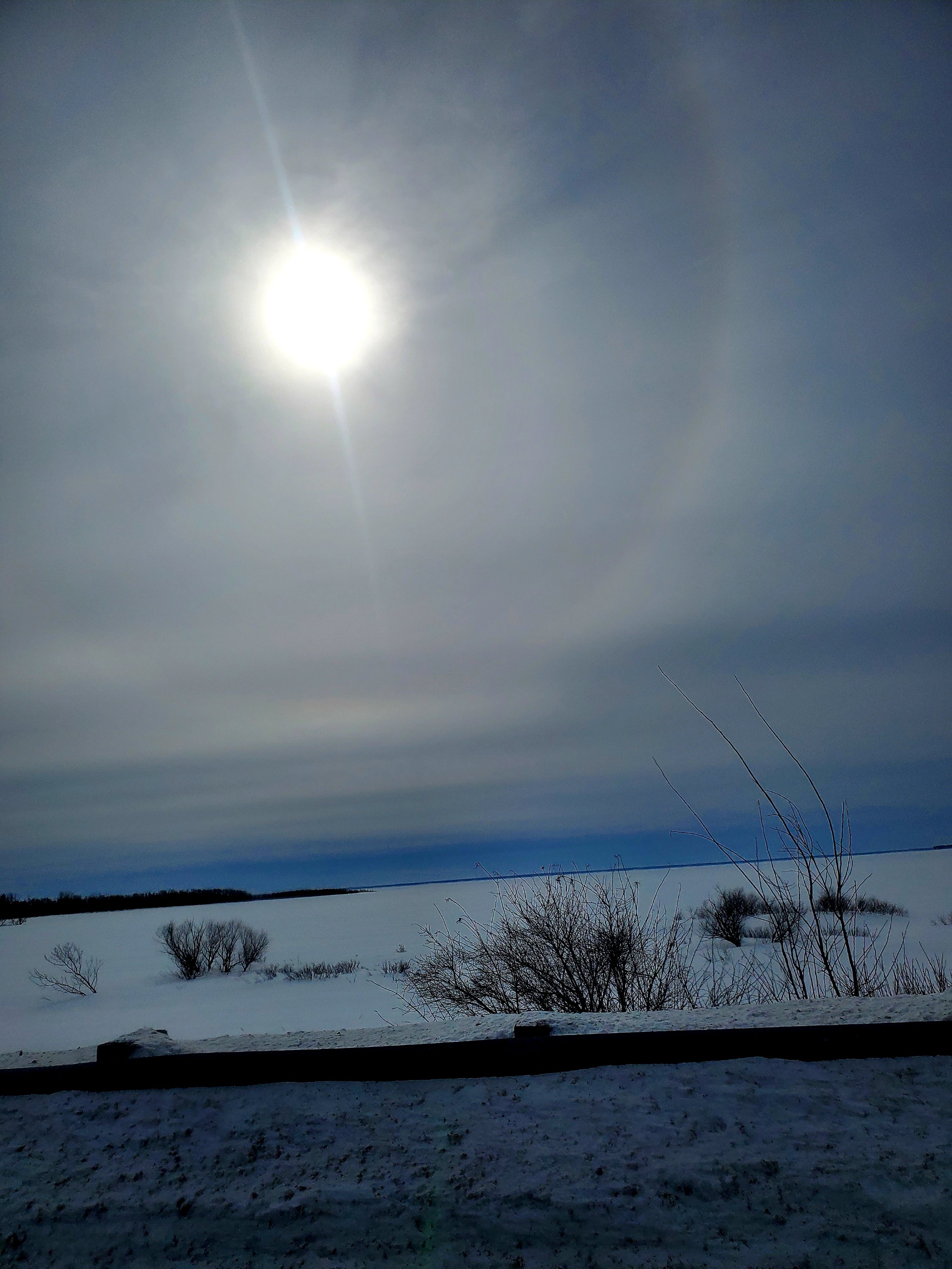 wp-16785895555928927680486388392523