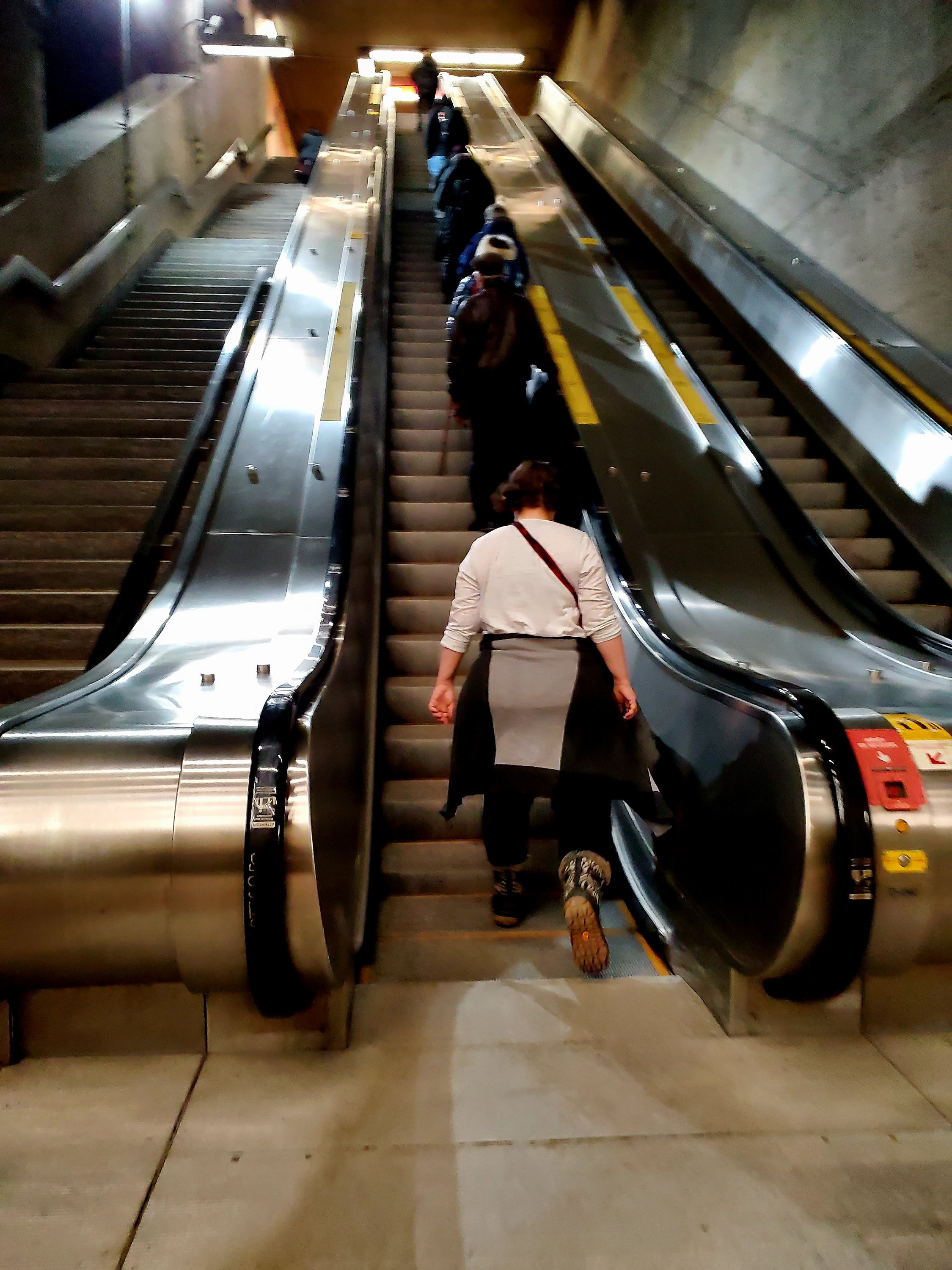 wp-16789272210912245315210193593730