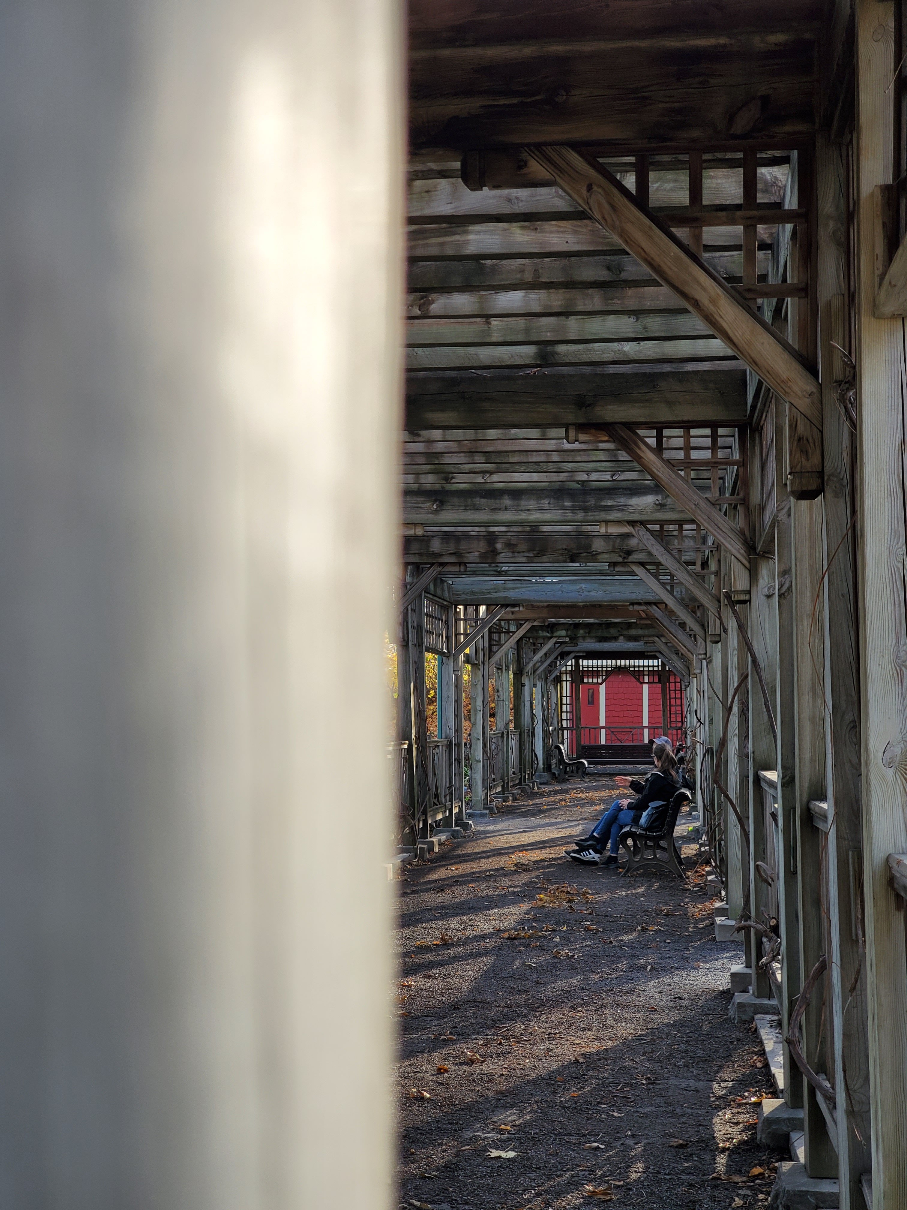 wp-1679533978752481253510901842931